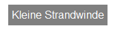 Textfeld: Kleine Strandwinde
