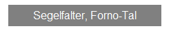 Textfeld: Segelfalter, Forno-Tal
