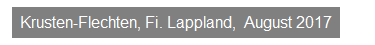 Textfeld: Krusten-Flechten, Fi. Lappland,&nbsp; August 2017
