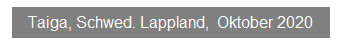Textfeld: Taiga, Schwed. Lappland,&nbsp; Oktober 2020

