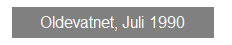 Textfeld: Oldevatnet, Juli 1990
