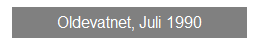 Textfeld: Oldevatnet, Juli 1990
