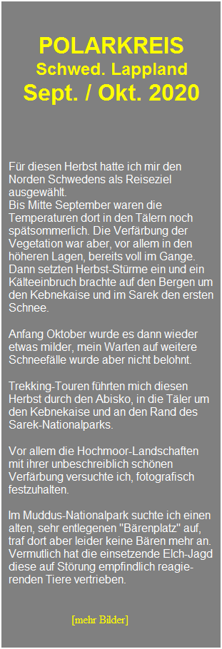 Textfeld: &nbsp;
&nbsp;
POLARKREIS 
Schwed. Lappland 
Sept. / Okt. 2020
&nbsp;
&nbsp;
F�r diesen Herbst hatte ich mir den 
Norden Schwedens als Reiseziel ausgew�hlt.&nbsp; 
Bis Mitte September waren die Temperaturen dort in den T�lern noch sp�tsommerlich. Die Verf�rbung der Vegetation war aber, vor allem in den h�heren Lagen, bereits voll im Gange. Dann setzten Herbst-St�rme ein und ein K�lteeinbruch brachte auf den Bergen um den Kebnekaise und im Sarek den ersten Schnee.
&nbsp;
Anfang Oktober wurde es dann wieder etwas milder, mein Warten auf weitere Schneef�lle wurde aber nicht belohnt.
&nbsp;
Trekking-Touren f�hrten mich diesen Herbst durch den Abisko, in die T�ler um den Kebnekaise und an den Rand des Sarek-Nationalparks. 
&nbsp;
Vor allem die Hochmoor-Landschaften mit ihrer unbeschreiblich sch�nen Verf�rbung versuchte ich, fotografisch festzuhalten.
&nbsp; 
Im Muddus-Nationalpark suchte ich einen alten, sehr entlegenen "B�renplatz" auf, traf dort aber leider keine B�ren mehr an. 
Vermutlich hat die einsetzende Elch-Jagd diese auf St�rung empfindlich reagie-renden Tiere vertrieben.
&nbsp;&nbsp;
&nbsp;&nbsp;
&nbsp;&nbsp;&nbsp;&nbsp;&nbsp;&nbsp;&nbsp;&nbsp;&nbsp;&nbsp;&nbsp;&nbsp;&nbsp;&nbsp;&nbsp;&nbsp;&nbsp;&nbsp;&nbsp;&nbsp; &nbsp;[mehr Bilder]
&nbsp;
&nbsp;
&nbsp;
&nbsp;
&nbsp;
&nbsp;
&nbsp;
&nbsp;
&nbsp;
&nbsp;
&nbsp;
&nbsp;
&nbsp;
&nbsp;
&nbsp;
&nbsp;
&nbsp;
&nbsp;
&nbsp;
&nbsp;
